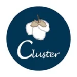 ˙⋆✮Cluster✮⋆˙